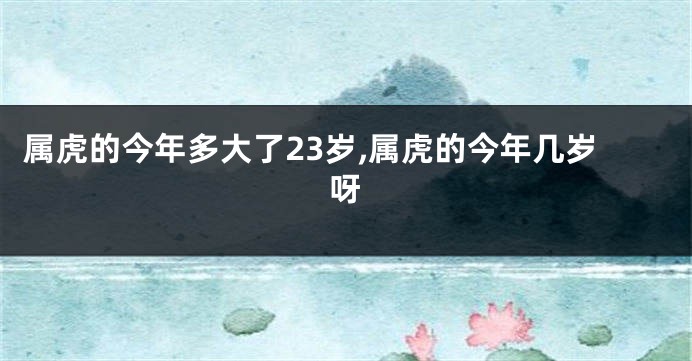 属虎的今年多大了23岁,属虎的今年几岁呀