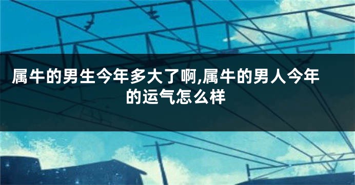 属牛的男生今年多大了啊,属牛的男人今年的运气怎么样