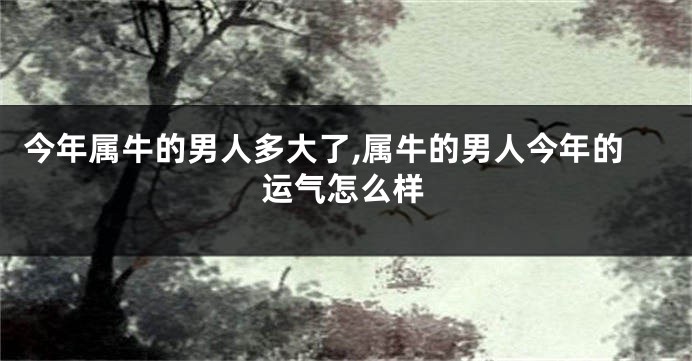 今年属牛的男人多大了,属牛的男人今年的运气怎么样