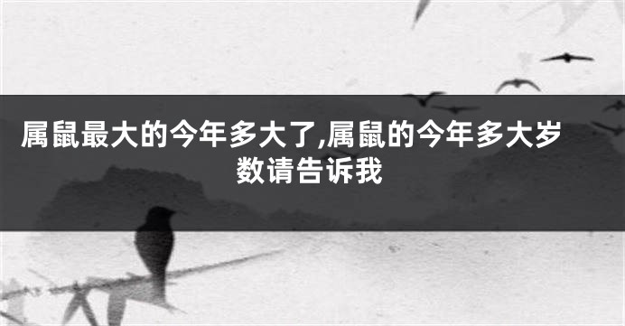 属鼠最大的今年多大了,属鼠的今年多大岁数请告诉我