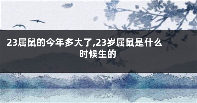 23属鼠的今年多大了,23岁属鼠是什么时候生的