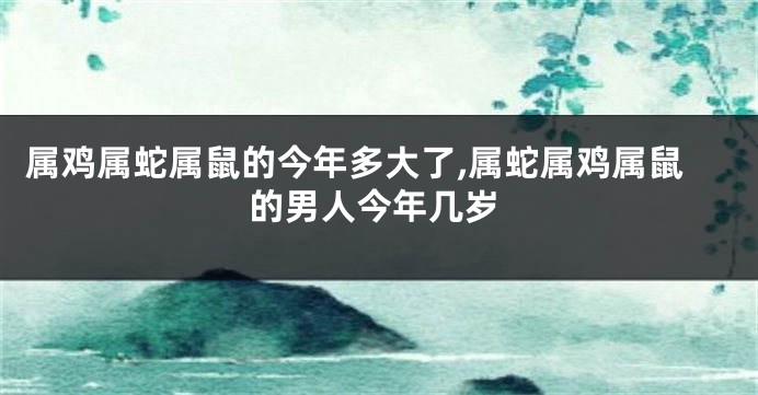 属鸡属蛇属鼠的今年多大了,属蛇属鸡属鼠的男人今年几岁