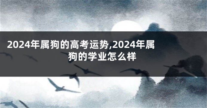 2024年属狗的高考运势,2024年属狗的学业怎么样